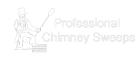 Professional Chimney Sweeps